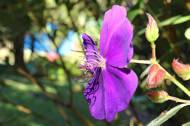 The Time is Now! – a journey through Lent for schools or as a personal reflection